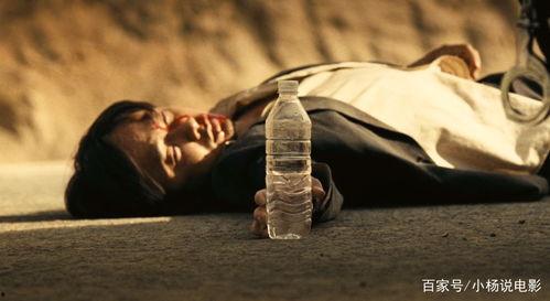 国产真实拳交在线播放,揭秘热血搏击背后的激情瞬间